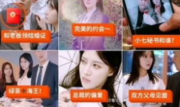 小七视频,揭秘短视频的魅力与影响力